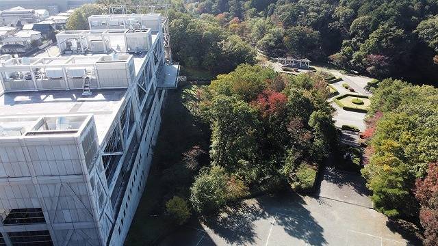dji_0513_dxo.jpg