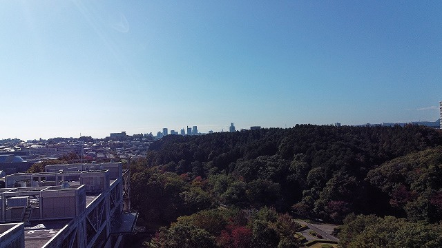 dji_0500_dxo.jpg