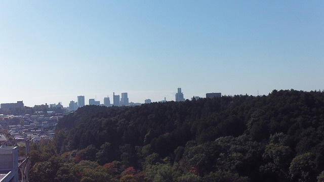 dji_0501_dxo.jpg