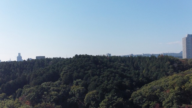 dji_0502_dxo.jpg