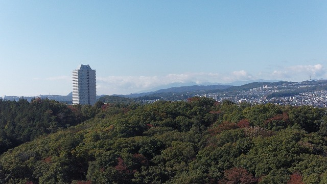 dji_0503_dxo.jpg