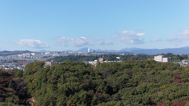 dji_0504_dxo.jpg