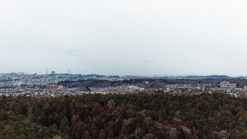 dji_0290_dxo.jpg