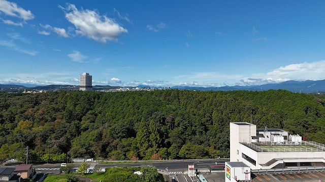 dji_20251002093110_0020_d.jpg